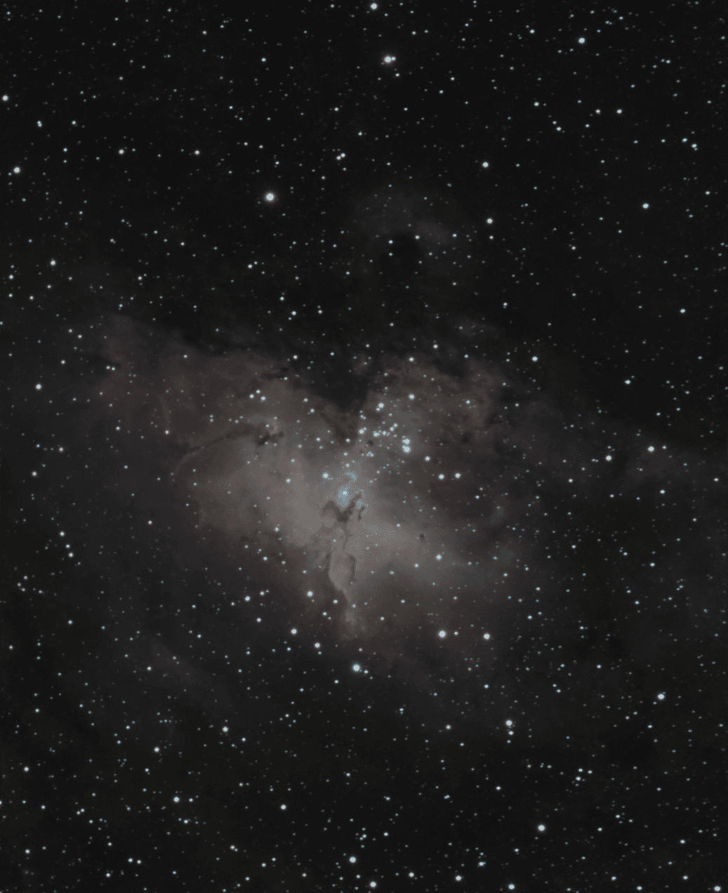 M16